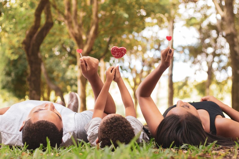 Canva - People Lying on thre Grass Holding Up andy (1)