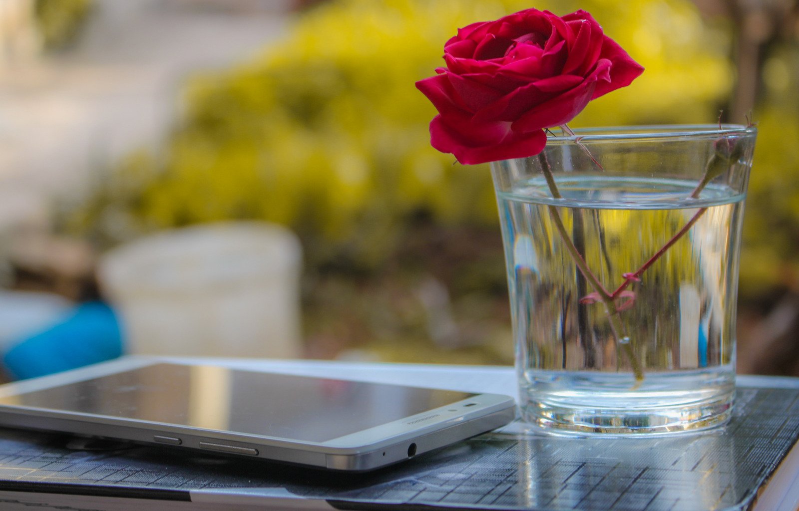 Canva - Red Rose In Clear Drinking Glass With Water Beside White Smartphone 